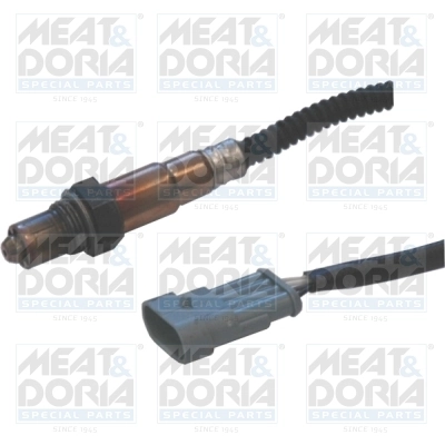 Oxygen Sensor